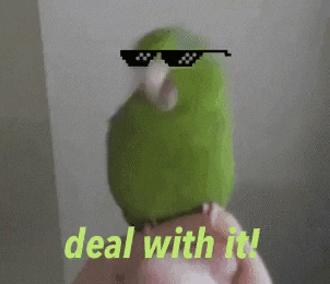 A parrot doing a little wiggle, with a pair of sunglasses edited on top of it, captioned "deal with it"